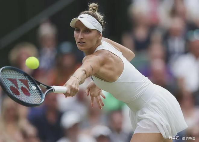 较高水准 较高水准