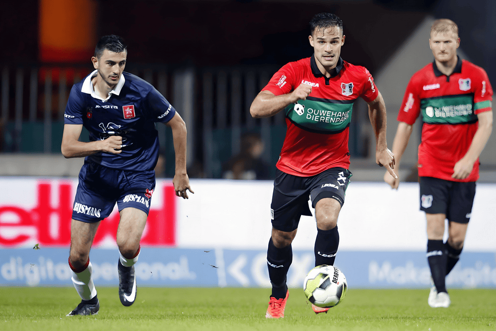 迷们欣喜地 迷们欣喜地