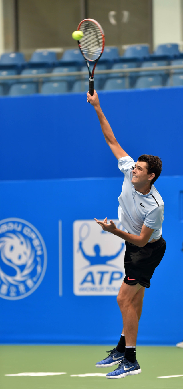 盟不仅能提 盟不仅能提